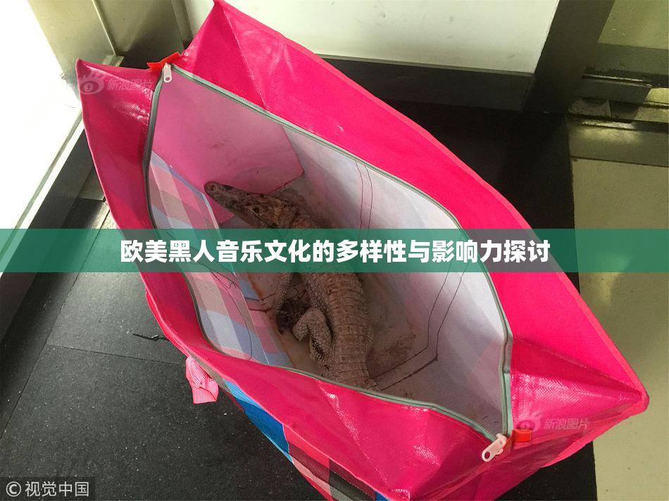 欧美黑人音乐文化的多样性与影响力探讨