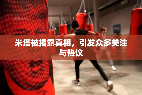 米塔被揭露真相，引发众多关注与热议