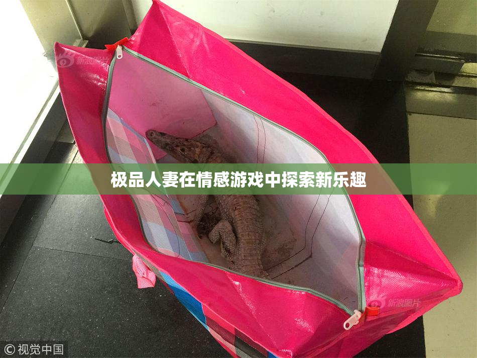 极品人妻在情感游戏中探索新乐趣