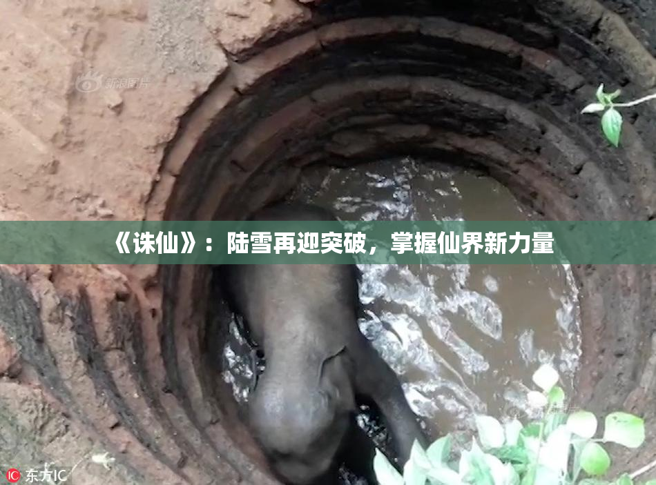 《诛仙》：陆雪再迎突破，掌握仙界新力量