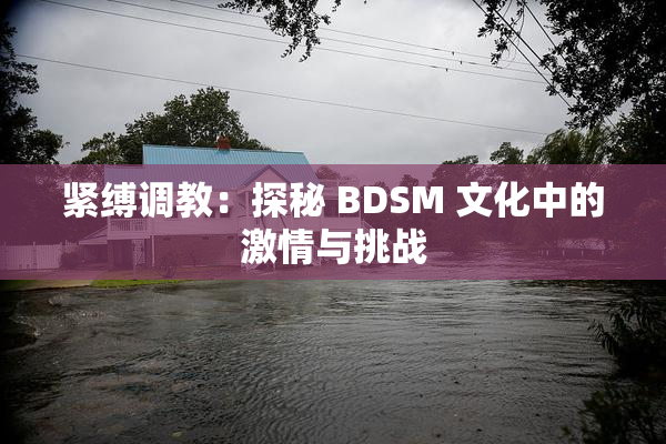 紧缚调教：探秘 BDSM 文化中的激情与挑战