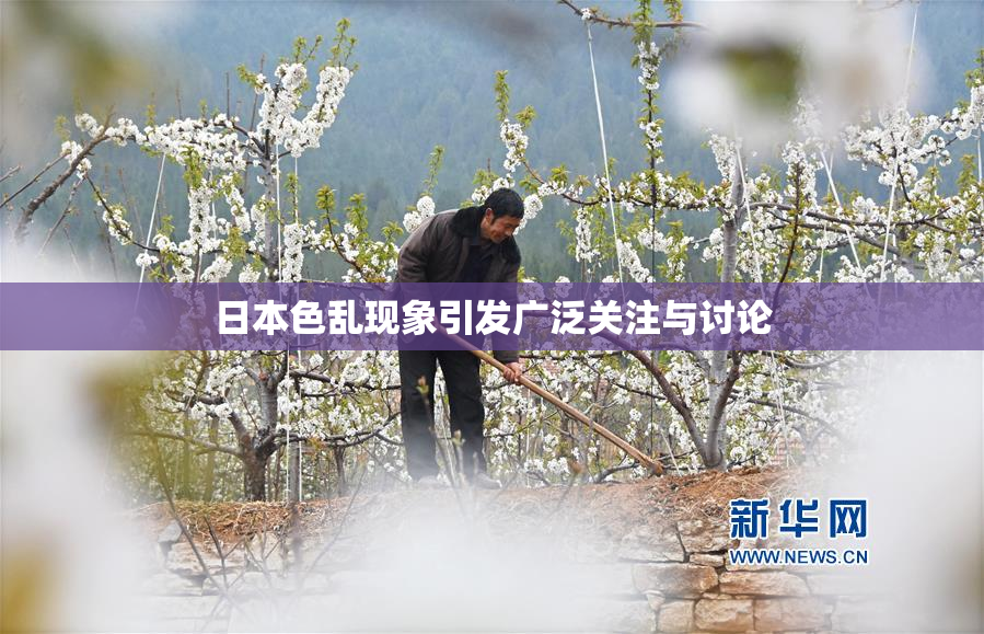 日本色乱现象引发广泛关注与讨论