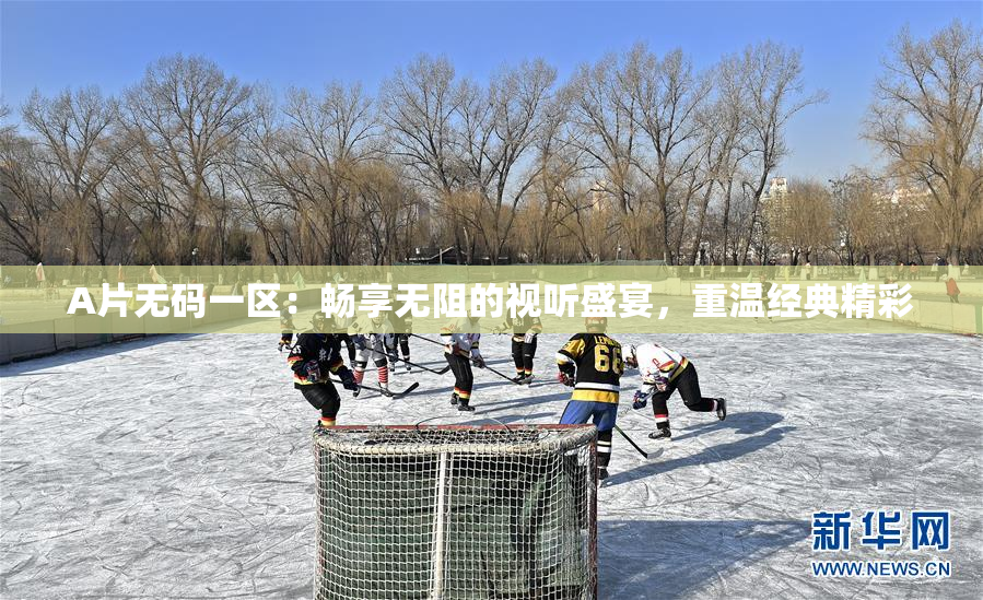 A片无码一区：畅享无阻的视听盛宴，重温经典精彩