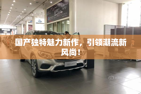 国产独特魅力新作，引领潮流新风尚！