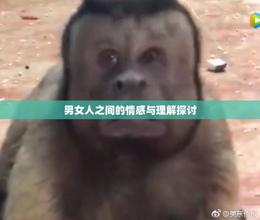 男女人之间的情感与理解探讨