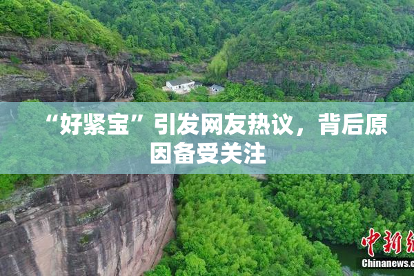 “好紧宝”引发网友热议，背后原因备受关注