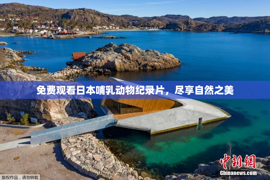 免费观看日本哺乳动物纪录片，尽享自然之美