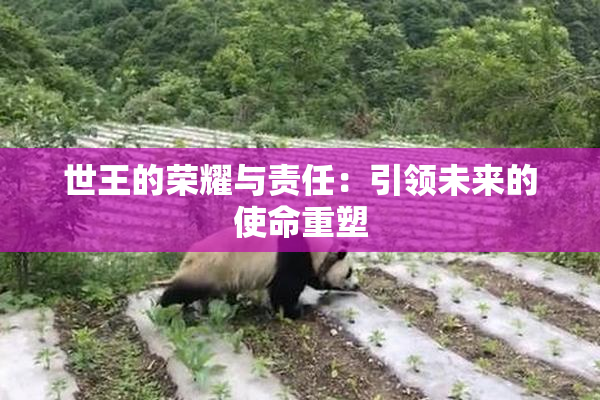 世王的荣耀与责任：引领未来的使命重塑
