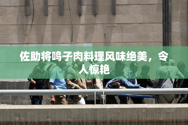 佐助将鸣子肉料理风味绝美，令人惊艳