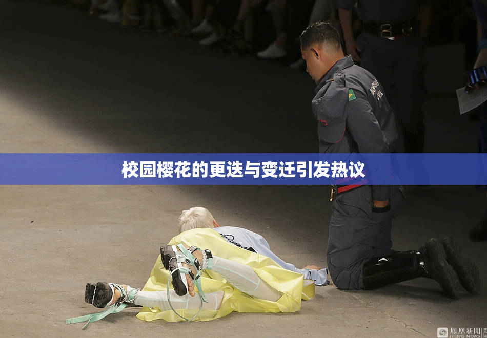 校园樱花的更迭与变迁引发热议