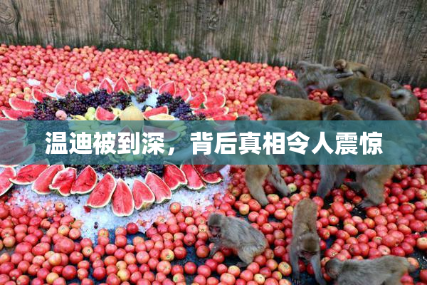 温迪被到深，背后真相令人震惊
