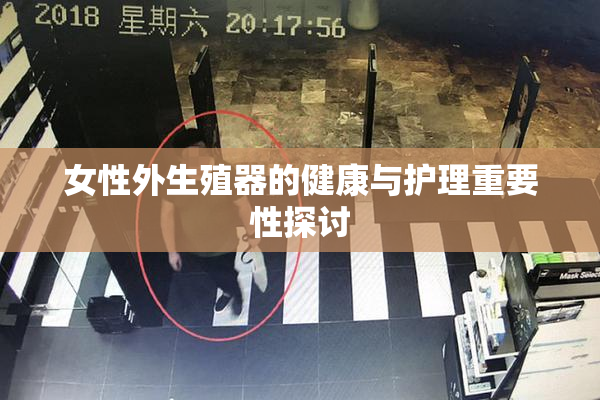 女性外生殖器的健康与护理重要性探讨