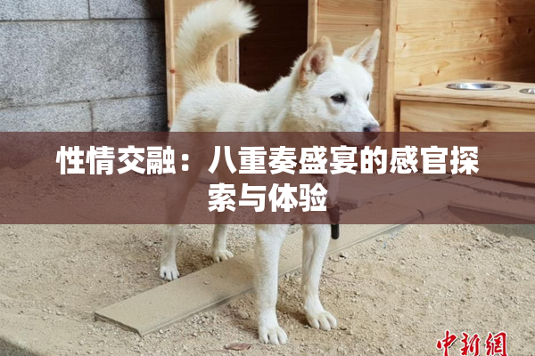 性情交融：八重奏盛宴的感官探索与体验