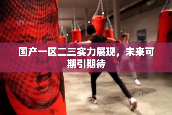 国产一区二三实力展现，未来可期引期待