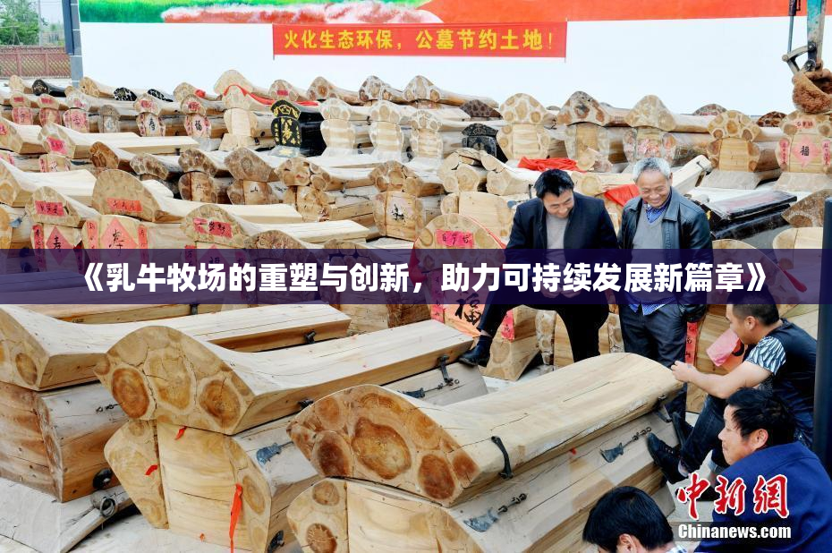 《乳牛牧场的重塑与创新，助力可持续发展新篇章》