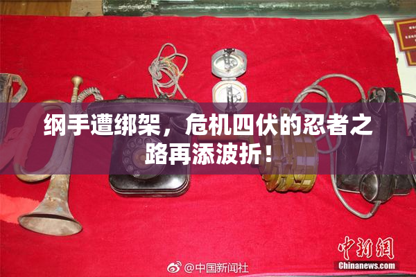 纲手遭绑架，危机四伏的忍者之路再添波折！