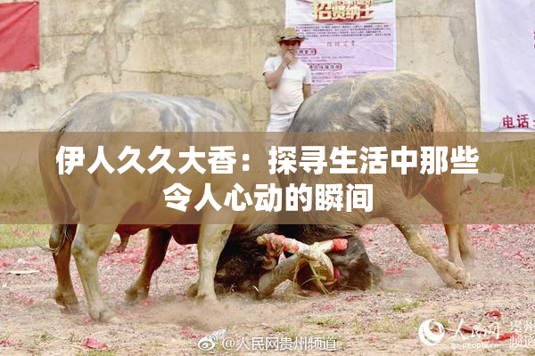 伊人久久大香：探寻生活中那些令人心动的瞬间
