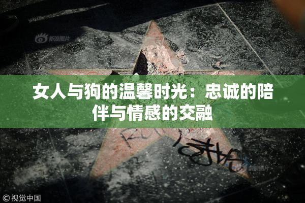女人与狗的温馨时光：忠诚的陪伴与情感的交融