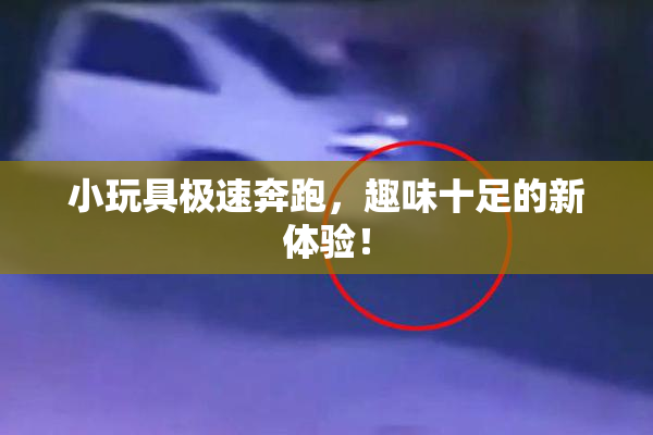 小玩具极速奔跑，趣味十足的新体验！