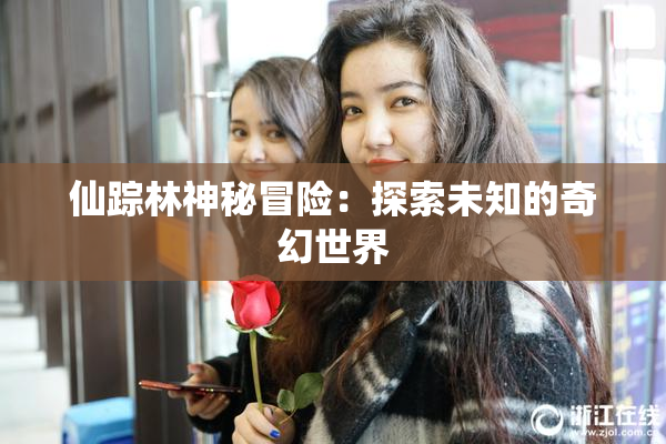 仙踪林神秘冒险：探索未知的奇幻世界
