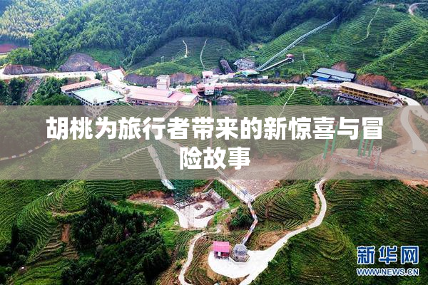 胡桃为旅行者带来的新惊喜与冒险故事