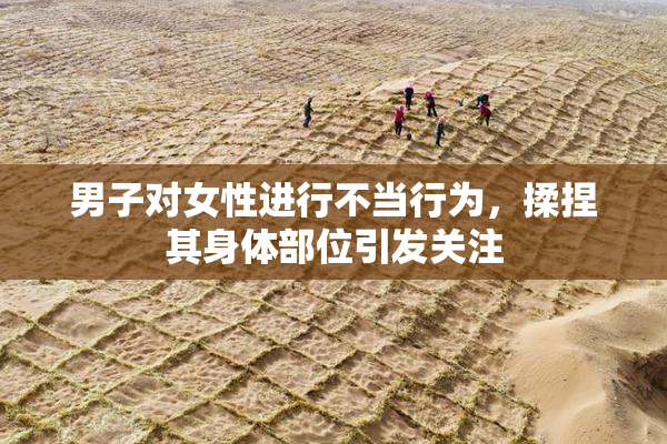 男子对女性进行不当行为，揉捏其身体部位引发关注