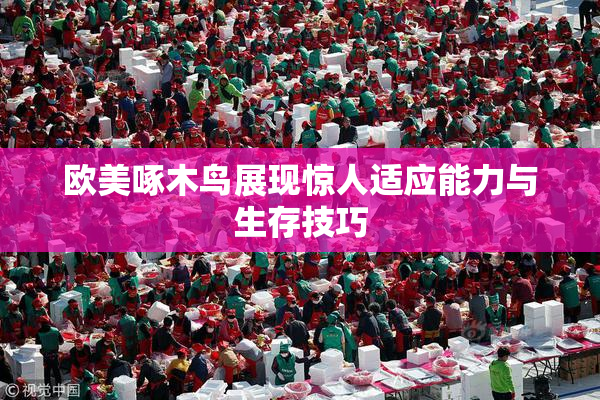 欧美啄木鸟展现惊人适应能力与生存技巧
