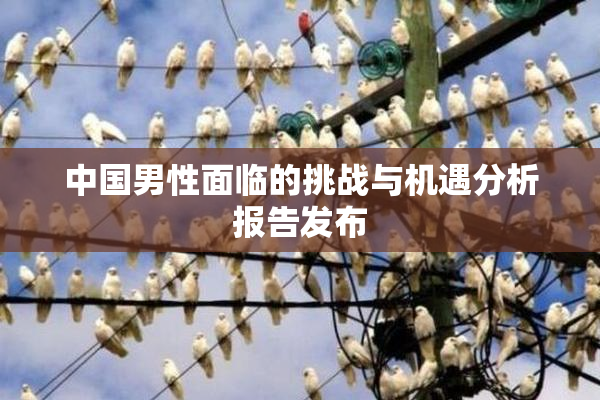 中国男性面临的挑战与机遇分析报告发布