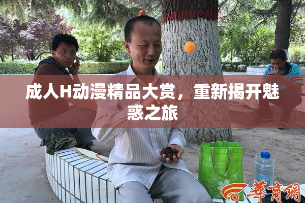 成人H动漫精品大赏，重新揭开魅惑之旅