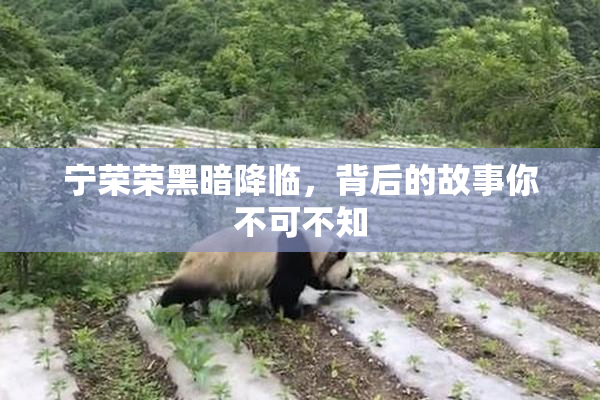 宁荣荣黑暗降临，背后的故事你不可不知