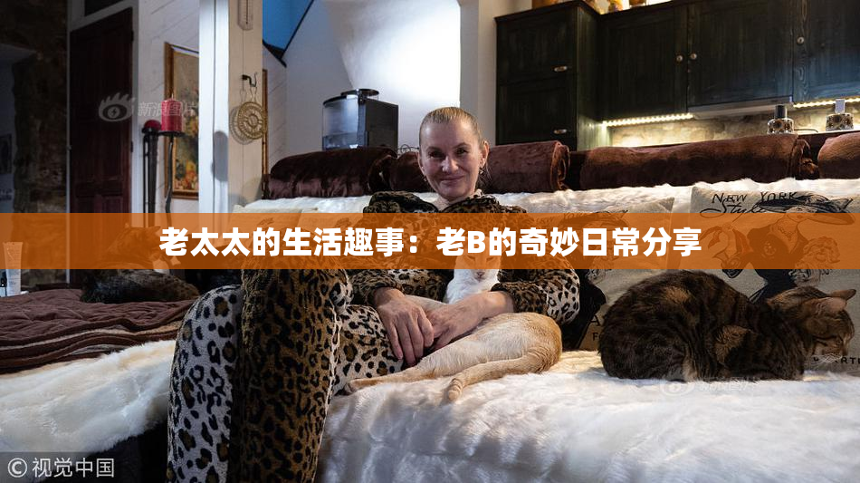 老太太的生活趣事：老B的奇妙日常分享