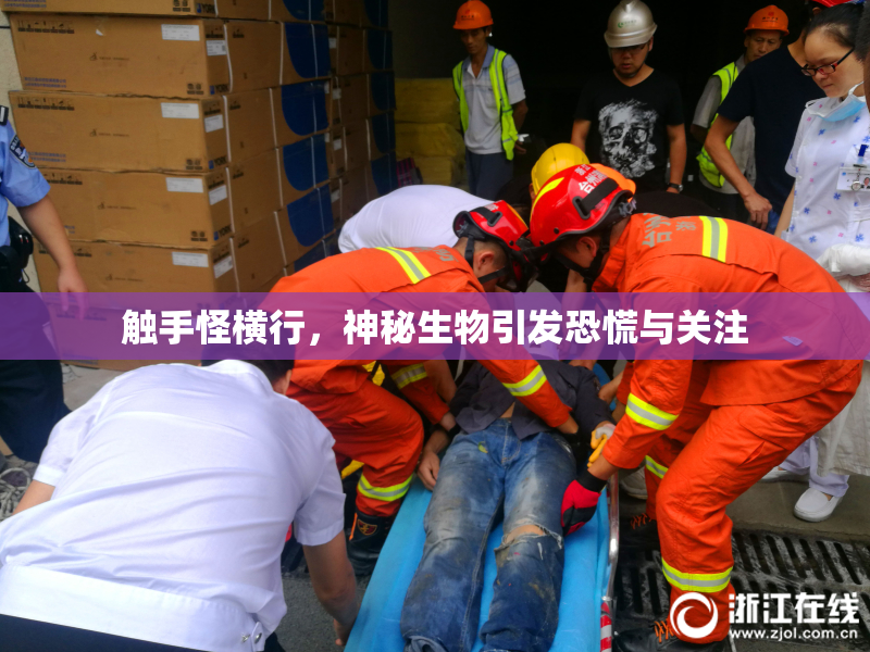 触手怪横行，神秘生物引发恐慌与关注