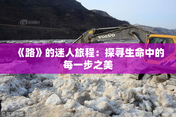 《路》的迷人旅程：探寻生命中的每一步之美