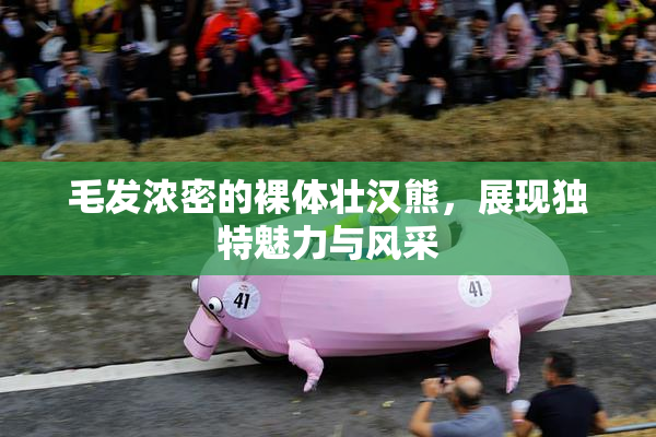 毛发浓密的裸体壮汉熊，展现独特魅力与风采