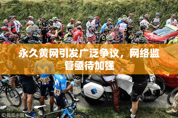 永久黄网引发广泛争议，网络监管亟待加强