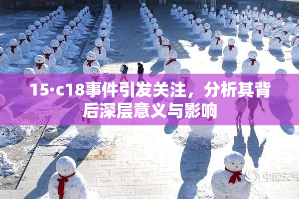 15·c18事件引发关注，分析其背后深层意义与影响