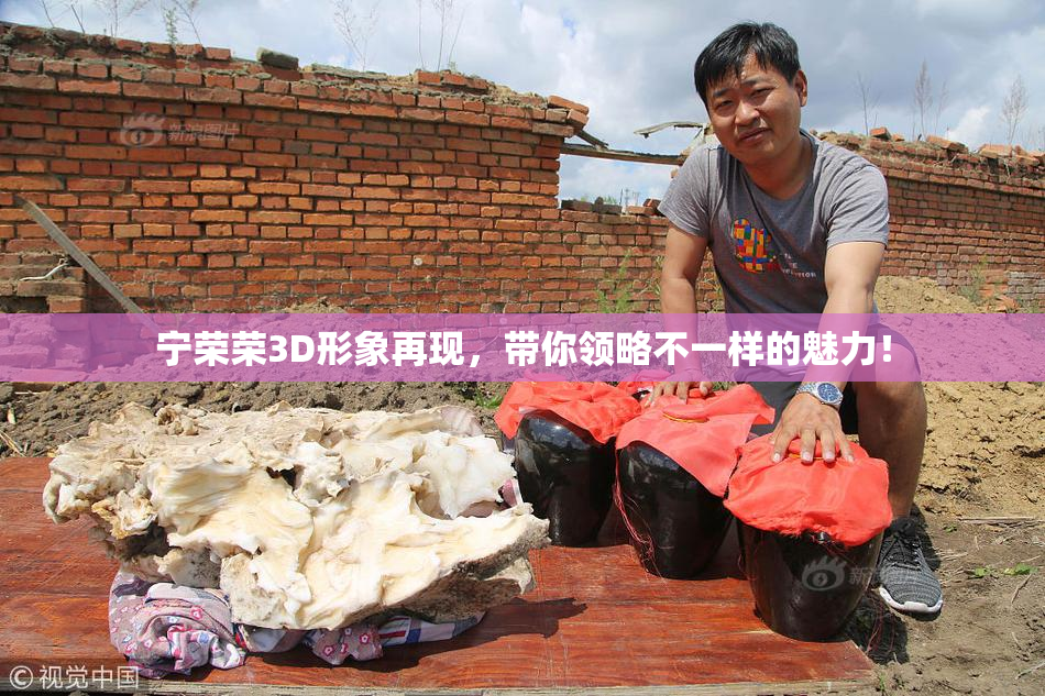 宁荣荣3D形象再现，带你领略不一样的魅力！