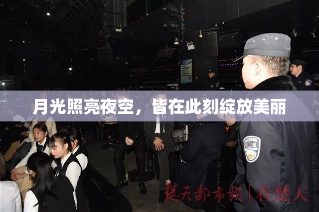 月光照亮夜空，皆在此刻绽放美丽