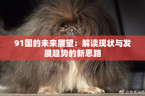 91国的未来展望：解读现状与发展趋势的新思路