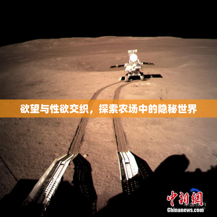 欲望与性欲交织，探索农场中的隐秘世界