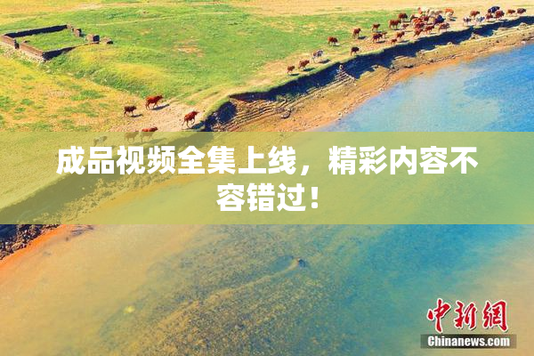 成品视频全集上线，精彩内容不容错过！
