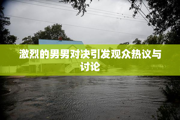 激烈的男男对决引发观众热议与讨论