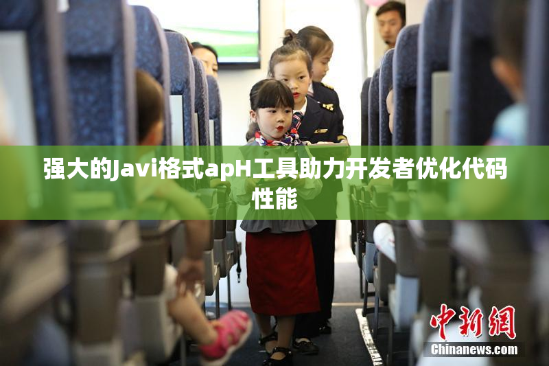 强大的Javi格式apH工具助力开发者优化代码性能