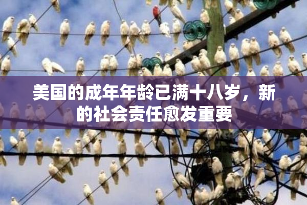 美国的成年年龄已满十八岁，新的社会责任愈发重要