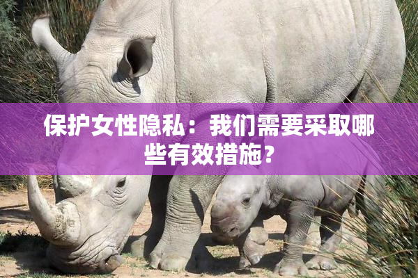 保护女性隐私：我们需要采取哪些有效措施？