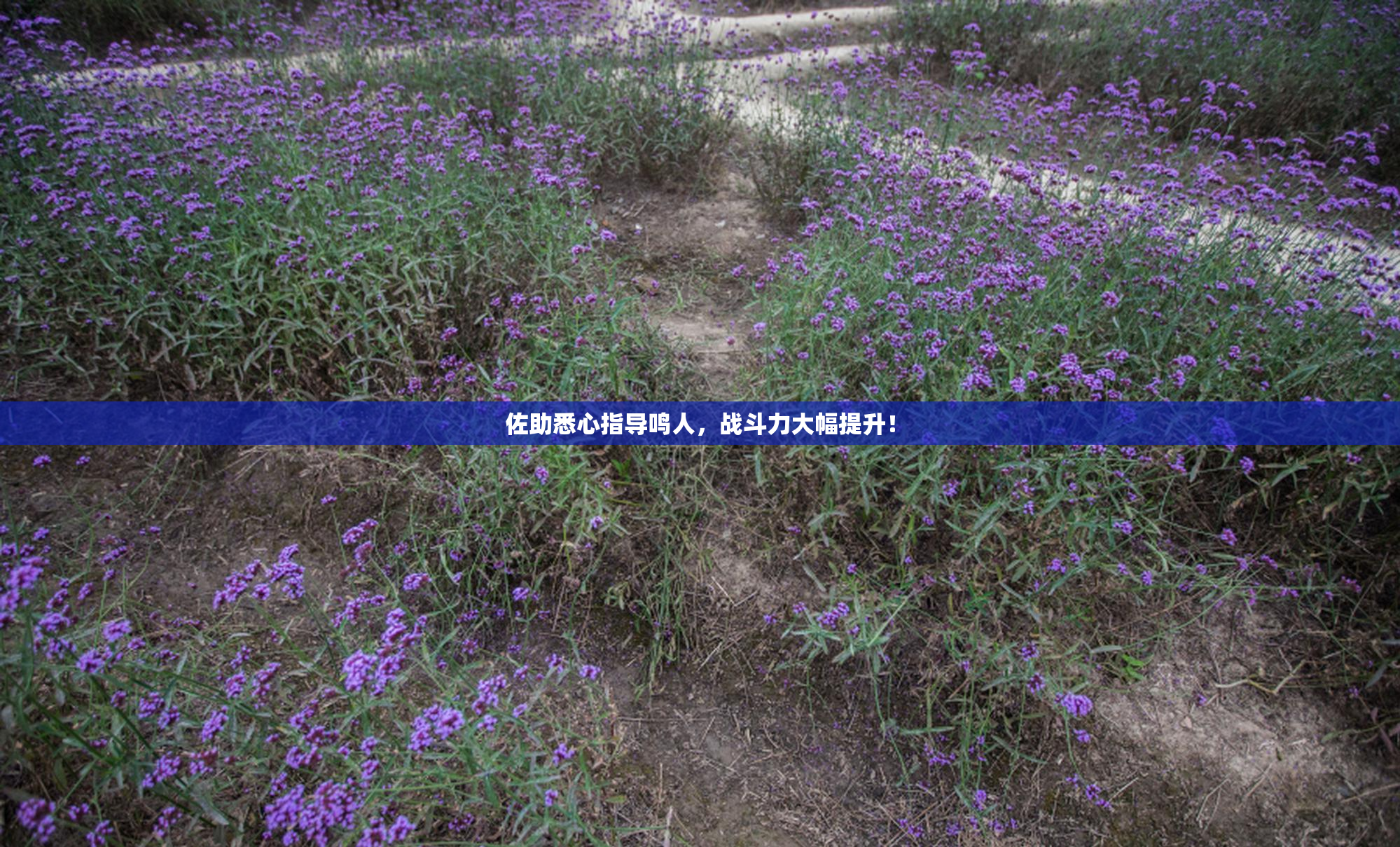 佐助悉心指导鸣人，战斗力大幅提升！