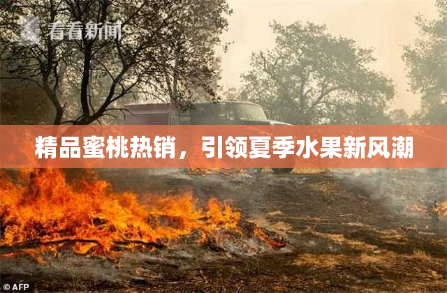 精品蜜桃热销，引领夏季水果新风潮