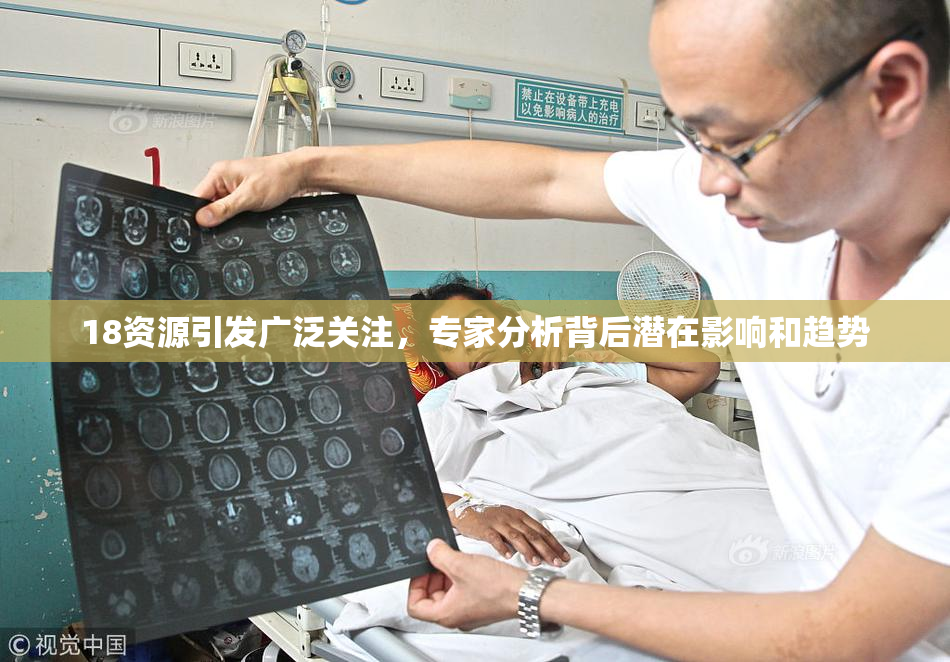 18资源引发广泛关注，专家分析背后潜在影响和趋势