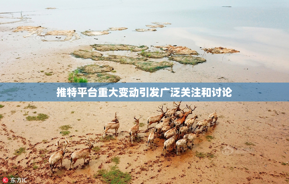 推特平台重大变动引发广泛关注和讨论