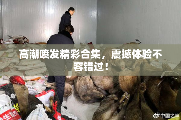 高潮喷发精彩合集，震撼体验不容错过！